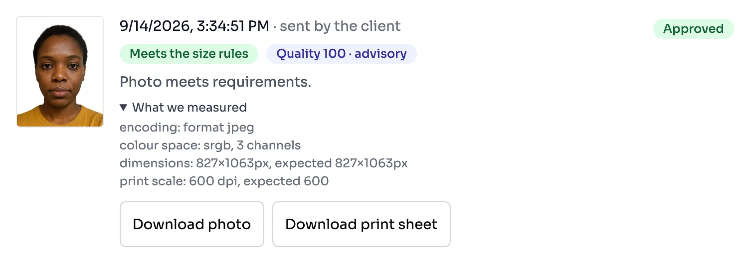 An approved attempt with its measurements, quality score and download buttons